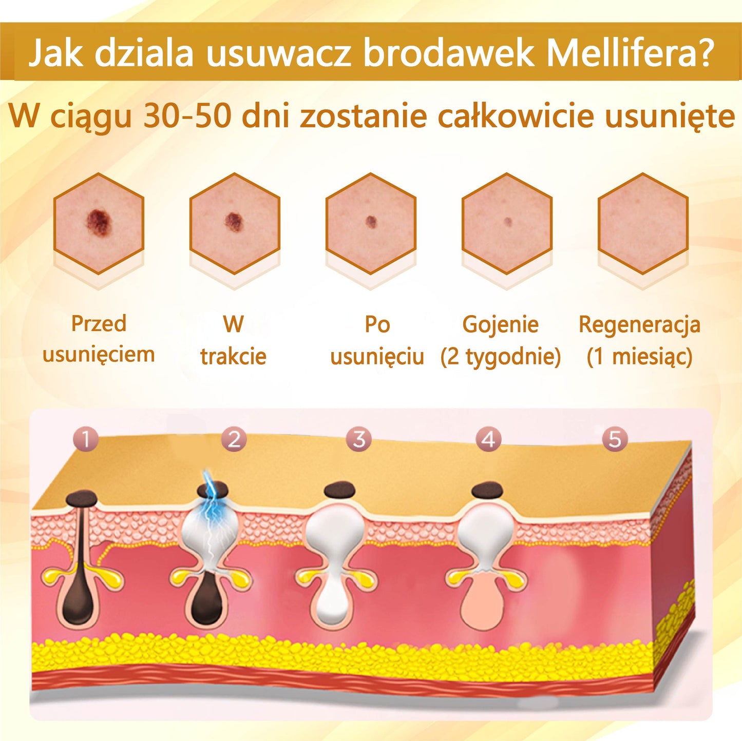 Krem regenerujący skórę Croaie® condense mellifera ⭐️⭐️